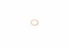 Уплотнительное кольцо REINZ 41-70058-00