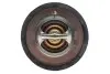 Термостат системи охолодження (91°C) FORD B-MAX, C-MAX II, ECOSPORT, FIESTA VI, FIESTA VII, FOCUS I, FOCUS III, FOCUS III/HATCHBACK, FOCUS III/KOMBI, GRAND C-MAX, MONDEO V 1.0-2.3 11.95- MOTORAD 363-91K (фото 4)