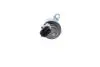 Элемент насоса Common Rail 1 465 ZS0 096 BOSCH 1465ZS0096 (фото 4)