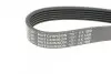 Поликлиновой ремень HUTCHINSON 1200 SK 6 (фото 4)