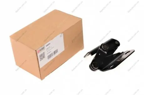 Петля капота SOLGY 306054