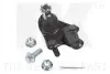 Шаровая опора перед. ниж. лева Toyota Highlander Gsu4#, Venza Lexus RX 07-13 NK 5044555