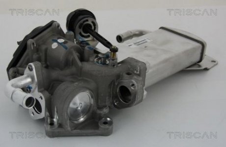 Клапан с радиатором AGR системы EGR VW T5 2.0TDI 09- TRISCAN 881329303
