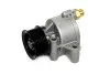 ASAM FORD Помпа вакуумная Transit 24DI/TDCI 00- 98881 ASAM 98881