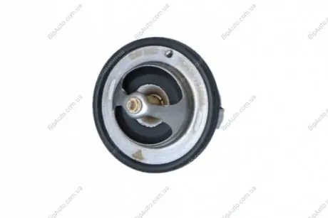 Термостат, охолоджуюча рідина NRF 725134