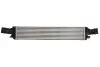 Інтеркулер THERMOTEC DAA019TT