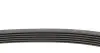 Комплект ремня CONTINENTAL Contitech 6PK1693WP1 (фото 2)