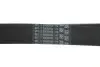 Поклиновий ремень CONTINENTAL Contitech 7PK1190EXTRA (фото 4)