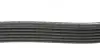 Ремень ручейковый DAYCO 6PK1555S (фото 2)