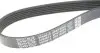 Ремень ручейковый DAYCO 6PK1555S (фото 4)