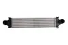 Интеркулер THERMOTEC DAI002TT