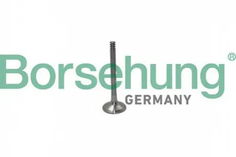 Клапан випускний Borsehung B19012