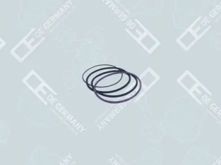 Комплект уплотняющих колец гильзы цилиндра Oe germany 030111121000
