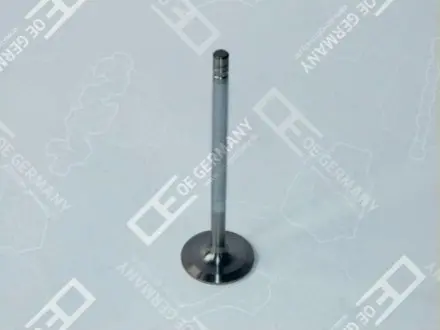 Клапан впускной DAF XE/XF 45.5x9x163.6 Oe germany 060520XF9500