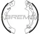 Гальмівні колодки зад. Ford Fiesta VI 08- (TRW) BREMSI GF0249