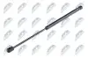NTY TAILGATE GAS SPRING NTY AE-PL-022 AE-PL-022