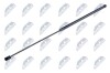 NTY HOOD GAS SPRING NTY AE-VW-056 AE-VW-056