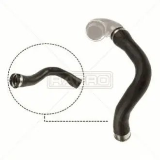 - Rapro R18348