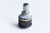 Опора шаровая MAZDA 5 (CR19) 2.0 (2005-2010) (74552) ASAM ASAM 74552