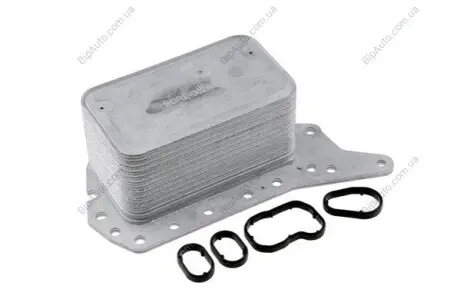 Зп Nty CCLRE002A
