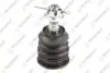 TEKNOROT TOYOTA Шаровая опора верхн.лев./прав.GS300/460 05- LX-315 TEKNOROT LX-315