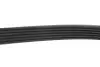 Комплект ременя генератора Chevrolet Cruze/Orlando/Opel Astra/Insignia 08- (6PK1555) 529 0327 10 INA 529032710 (фото 6)