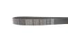 Ремень поликлиновый DAYCO 7PK1334S (фото 3)