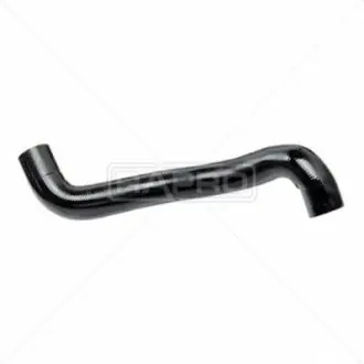 Патрубок радіатора Megane II/Scenic II 1.4/1.6 i 02- (верх.) 12185 Rapro R12185