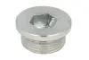 Болт зливу оливи Fiat Ducato 94- (M22x1,5) ELRING 587.180 587180