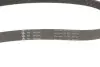 Комплект ременя генератора Skoda Roomster/Fabia 1.4TDi 03-10/VW Fox/Lupo/Polo 1.2/1.4TDI 99-09 529 0378 10 INA 529037810 (фото 4)