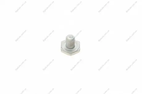 Болт зливу оливи Citroen Berlingo/Peugeot Partner 1.6HDI/1.9D/2.0HDI 98- 587.220 ELRING 587220