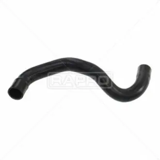 Фото 1 - патрубок системи охолодження Kangoo 1.5dCi 08- (радіатор-термостат) Л. 12511 Rapro R12511 Патрубок системи охолодження Kangoo 1.5dCi 08- (радіатор-термостат) Л. 12511 Rapro R12511 (фото 1)