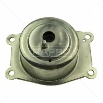 Rapro R51900