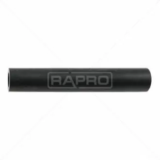 Патрубок картерних газів BMW X5 (E53) 4.4/4.6 00-03 19566 Rapro R19566
