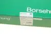 Натяжна планка ланцюга ГРМ Borsehung B1G054 (фото 5)