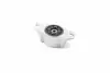 KAUTEK-TEKNOROT FORD Подушка задн.аморт.Focus,C-Max 04- FD-SM009 KAUTEK FD-SM009