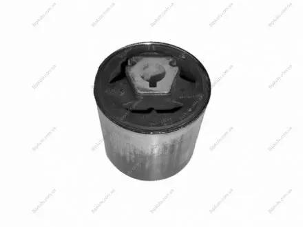 -TEKNOROT BMW С/блок передн.рычага X3, X5 E53 00- Kautek BM-BS061