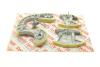 Комплект ланцюга ГРМ Audi A4/A6/A8/Q7/VW Touareg 2.7D/3.0D 03-11 (ланцюг + елементи) (симплекс) AIC 59115Set (фото 2)