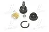 Опора кул ниж Hyundai Accent 94-00 Getz 02- Mitsubishi Carisma/Galant/Lancer/Volvo (вір-во) CBM-18 CTR CBM18 (фото 1)