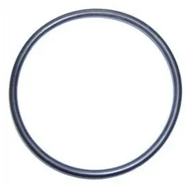 Кільце ущільнення 61x3,5 ACM ELRING 833.916