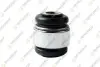 TEKNOROT FORD С/блок пер. рычага Mustang 15- FO-735 TEKNOROT FO-735