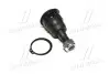 Опора кульова нижня Nissan Primera 90-98 Almera 99- Sunny 85- Altima 90-02 CTR CB-0314 (фото 1)