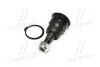 Опора кульова нижня Nissan Primera 90-98 Almera 99- Sunny 85- Altima 90-02 CTR CB-0314 (фото 2)