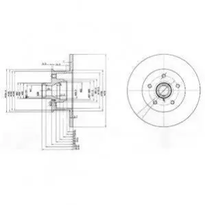 Delphi BG310