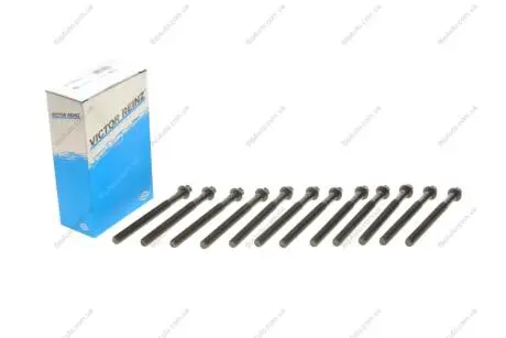 Комплект болтов гбц REINZ VICTOR REINZ 14-12256-01