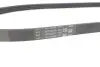 Ремінь генератора Renault Clio 1.2 16V 12- (4PK865) CONTINENTAL Contitech 4PK865 ELAST (фото 4)