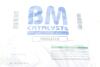 Каталізатор вихлопної системи BM CATALYSTS BM80352H (фото 2)