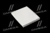 Фильтр салона HYUNDAI SOLARIS II 17-, KIA RIO IV 17- (выр-во WIX-FILTERS) WIX FILTERS WP2176 (фото 1)