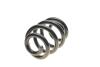 Пружина (задня) VW T5/T6/Multivan V/VI 1.9-2.0TDI/2.5TDI/3.2 V6 03- (фургон/з борт.пл) SOLGY 212054