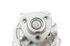 Комплект ГРМ + помпа VW Caddy/Sharan/Seat Ibiza 1.9TDI/SDI 95-06 INA 530 0377 31 (фото 8)